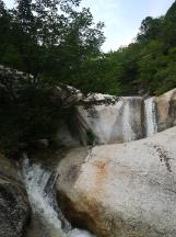 小红帽的冒险之旅